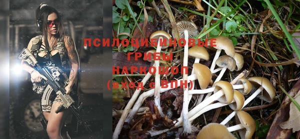 MESCALINE Белокуриха
